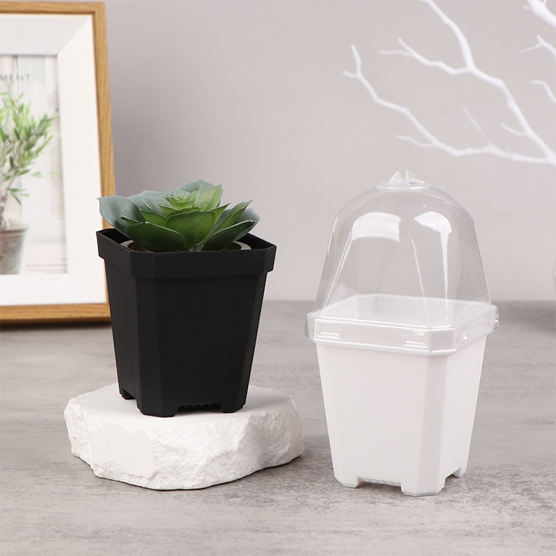 Smart Garden Domes - Pequeno vaso quadrado com cúpula de