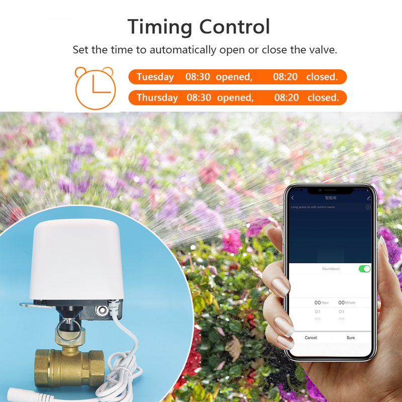 Válvula de Água Tuya Zigbee Wi - Smart Garden System avaliação e preço