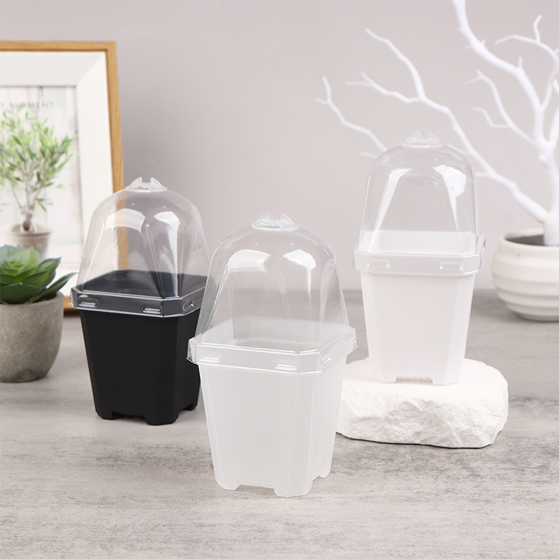 Pequeno vaso quadrado com cúpu - Smart Garden Domes avaliação e preço