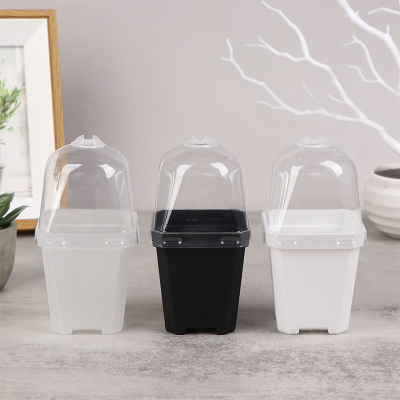 Pequeno vaso quadrado com cúpu - Smart Garden Domes avaliação e preço