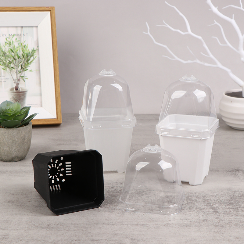 Pequeno vaso quadrado com cúpu - Smart Garden Domes avaliação e preço