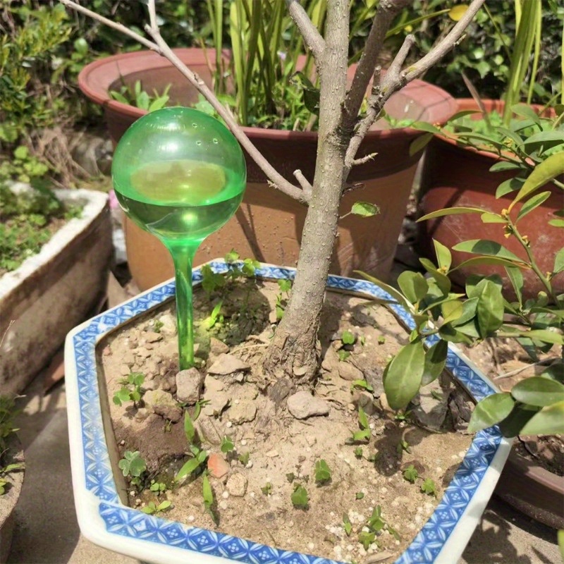 6PCS Bolas de Irrigação Automá - Smart Garden Furniture avaliação e preço