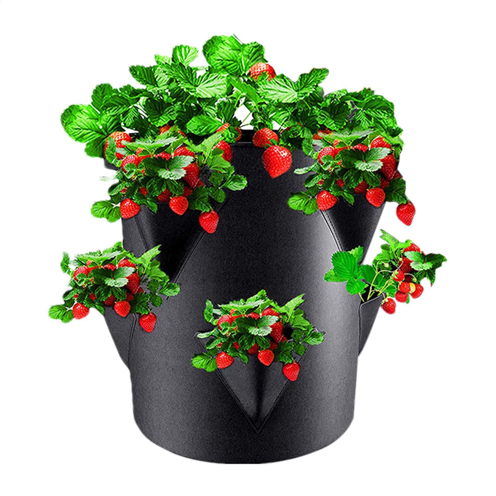 Saco de Plantio de Morangos de - Vertical Planter Tower avaliação e preço