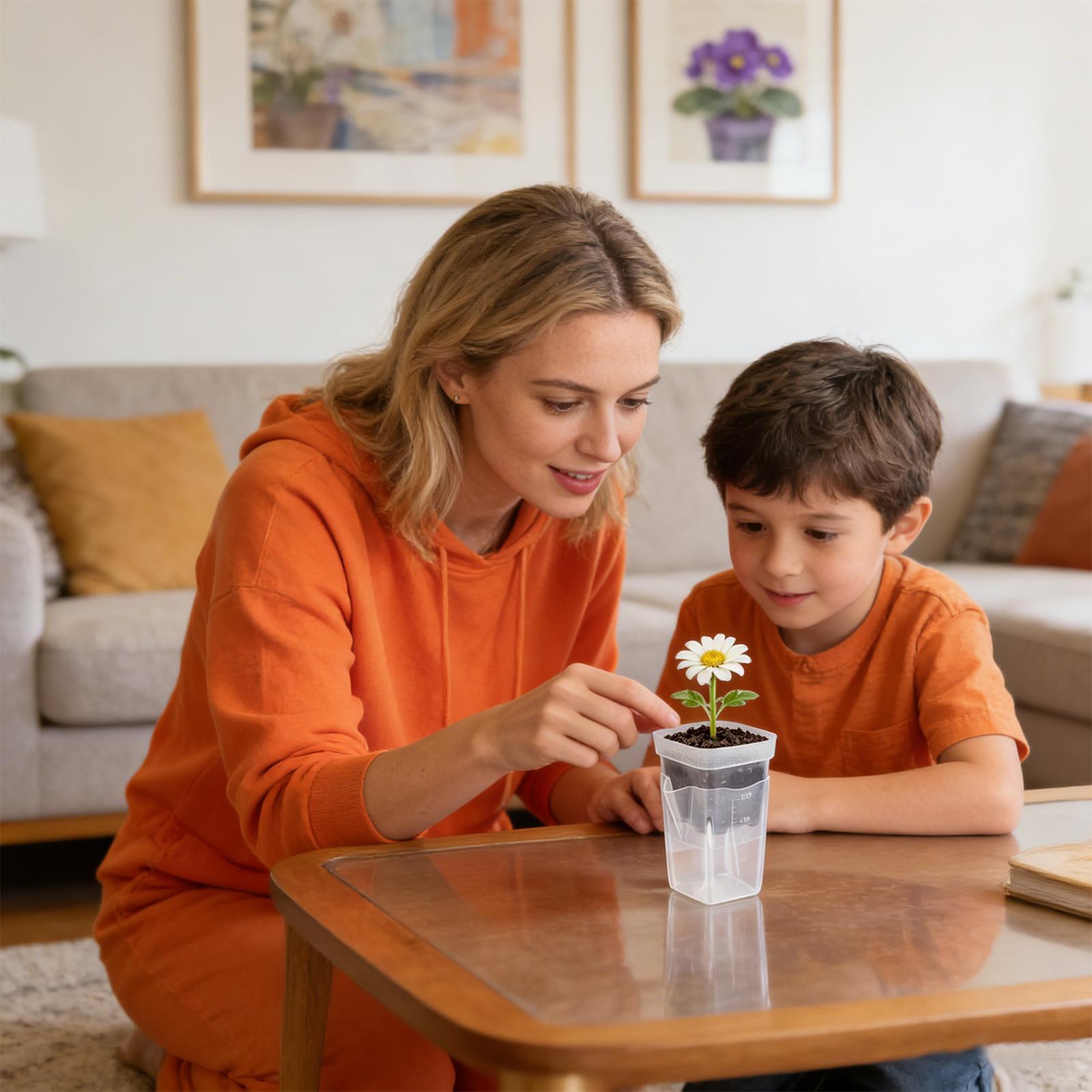 Vasos de Plantas com Autoirrig - Smart Garden Domes avaliação e preço