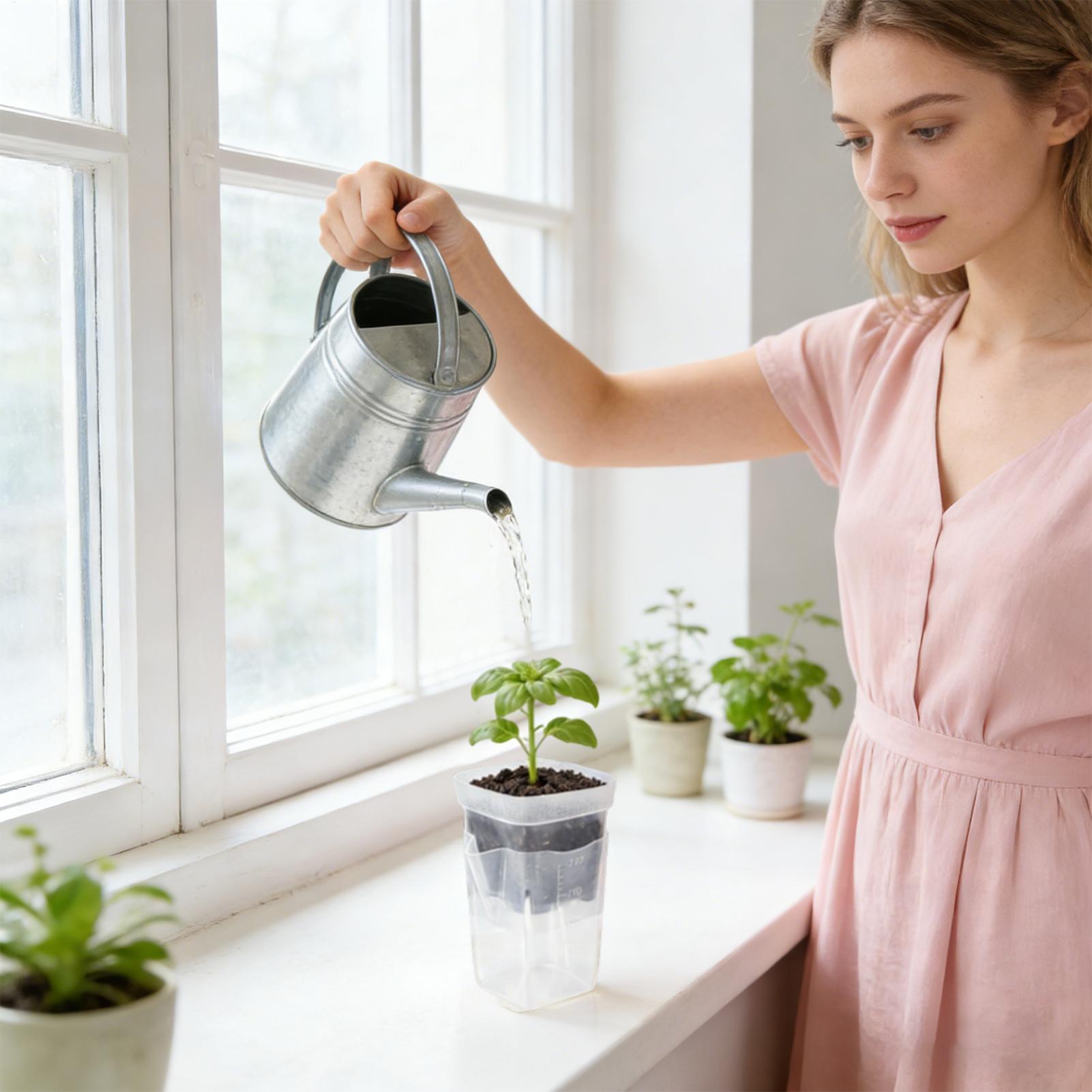 Vasos de Plantas com Autoirrig - Smart Garden Domes avaliação e preço