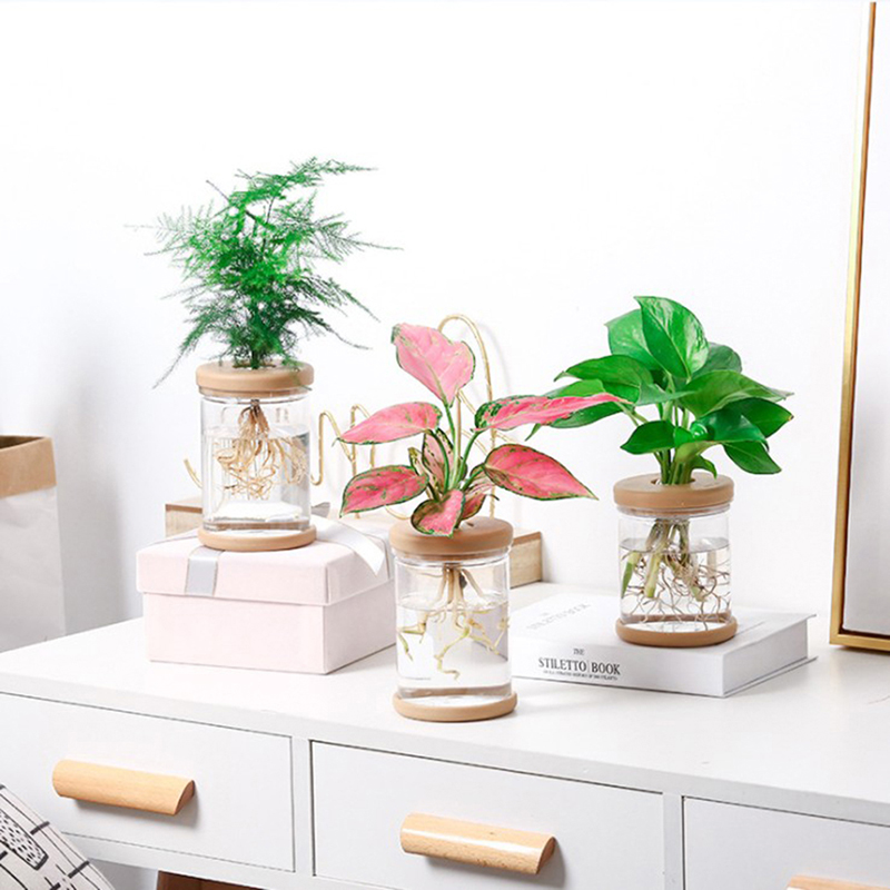 2025 novo pote de plantador hi - Smart Garden Domes avaliação e preço